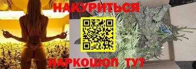 гидра Волгодонск