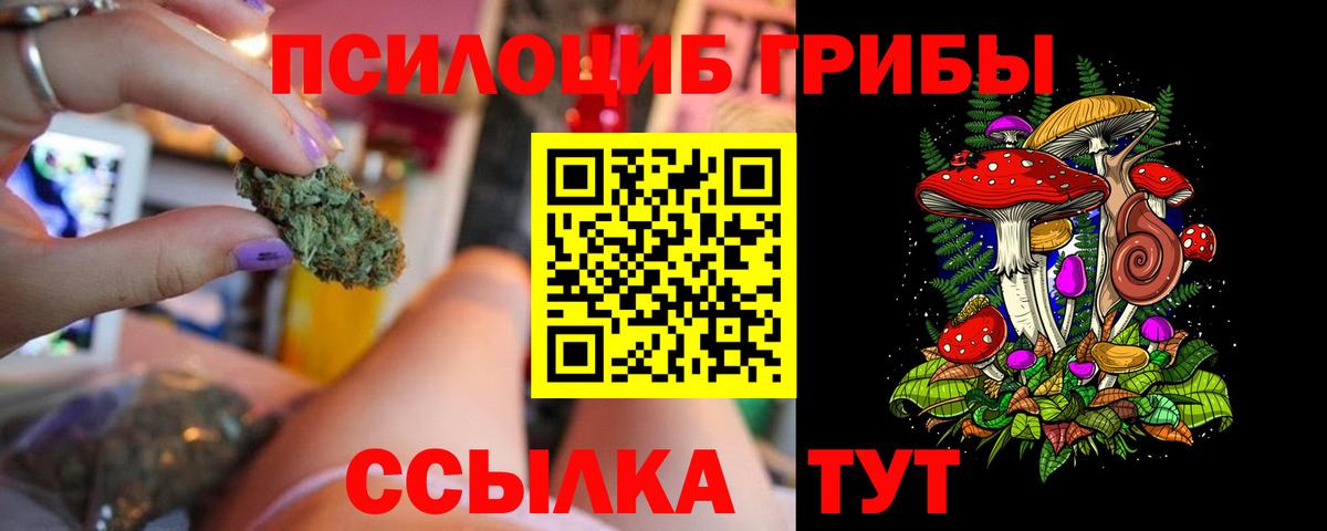 Псилоцибиновые грибы Psilocybe Муром
